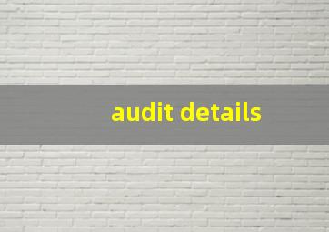 audit details